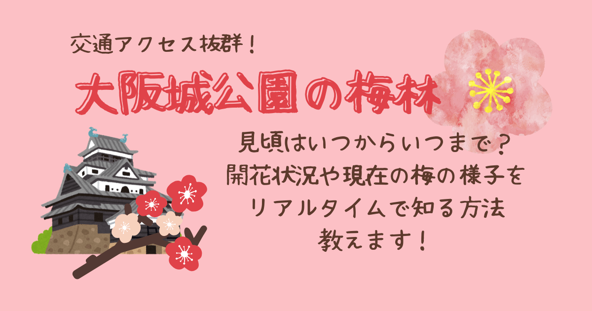 大阪城公園　梅林　見頃　いつからいつまで　開花情報　開花状況　リアルタイム　ライブカメラ　現在の様子